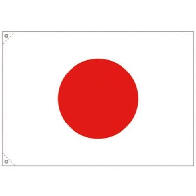 つくし工房 つくし 日章旗 小サイズ 644-C 1枚 185-7351（直送品）