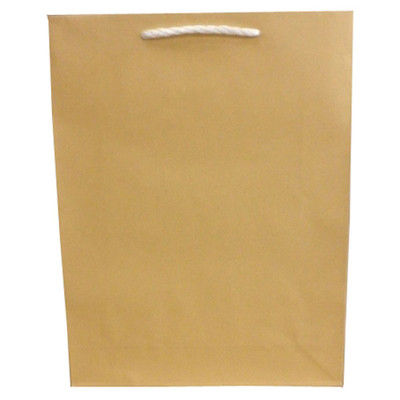 東京ユニオン ペーパークラフト 大 10枚入 No.704（直送品）