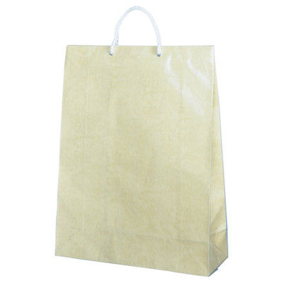 東京ユニオン 手提袋 ジャンボバック ぞうげ No-170 2枚（直送品）