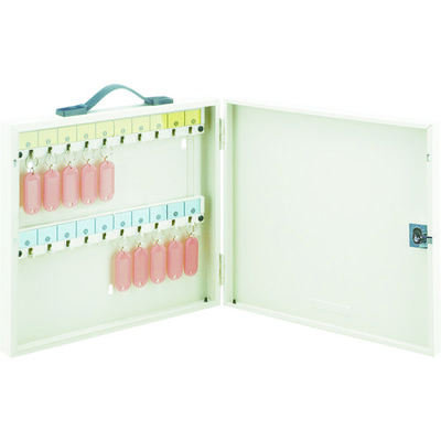 ダイケン DAIKEN キーボックス キー20本用 OK-20N 1台 859-8226（直送品）