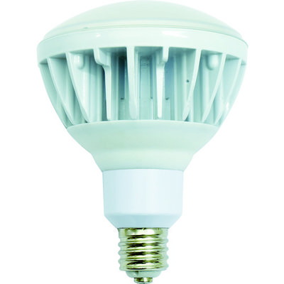 日動工業 NICHIDO 投光器用LED交換球 ハイスペックエコビック40W E39 昼白色 本体白 L40V2-J110-50K 1個（直送品）