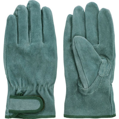 富士グローブ 牛床革オイル加工手袋 オイル33LL 5354 1双 836-3571（直送品）