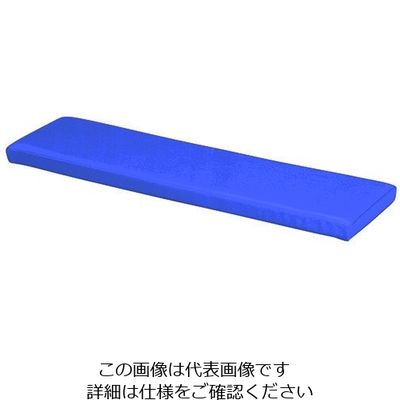 弘益 キッズガーデン マット・入口 ブルー KID-I250-BL 1個 7-3365-01（直送品）