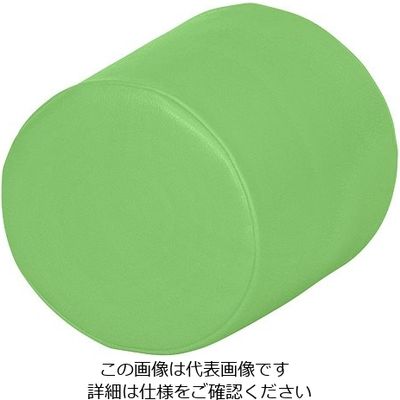弘益 キッズガーデン クッション・丸 グリーン KID-K10-GN 1個 7-3366-04（直送品）