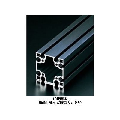 エヌアイシ・オートテック M6 ベーシックアルミフレーム ブラック