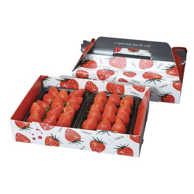 パックスタイル PS手提箱イチゴ 2P 00553649 1包：100枚（20×5）（直送品）
