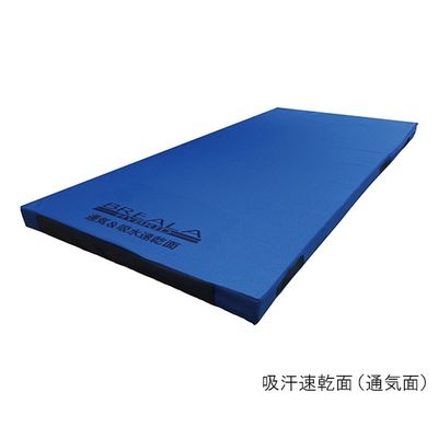 グローバル産業 ブレイラハイブリッド ケアマットレス 910×1830×80mm BRHM-910S 1枚 7-1516-02（直送品）