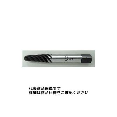 たろう Robert Schroder 4.503.0 スクリューエキストラクター M8ー10 (#160/3