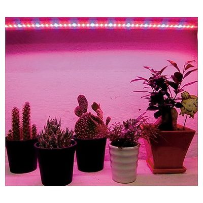 アズワン 植物育成LEDライト補光用LED 2-1410-01 1セット（直送品