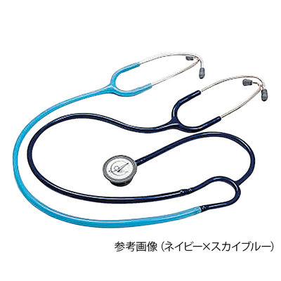 大幅値下げ！エンジェルナーススコープ　教育用ダブルステート Angel Nurse Scope エンジェルナーススコープ 教育用ダブル