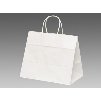 パックタケヤマ 手提袋 V68 晒無地 XZT00917 1包：50枚×4（直送品）