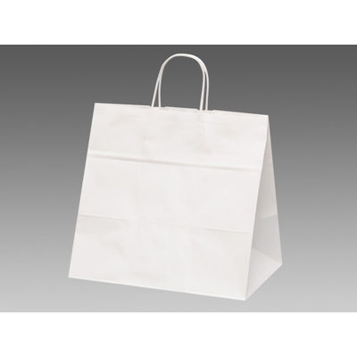 パックタケヤマ 手提袋 V85 晒無地 XZT00943 1包：50枚×4（直送品）
