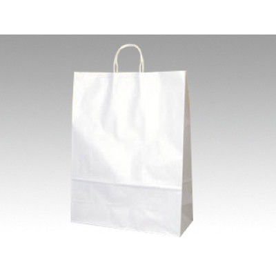 パックタケヤマ 手提袋 V100 晒無地 XZT00946 1包：50枚×4（直送品）