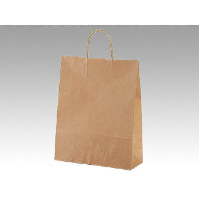 パックタケヤマ 手提袋 V100 未晒無地 XZT00948 1包：50枚×4（直送品）