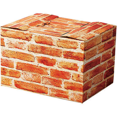 パックタケヤマ インテリアボックス レンガ XZV33001 1包：5個×4（直送品）