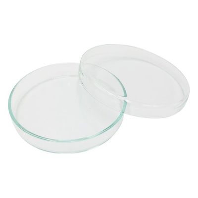 アズワン スタンダードシャーレ　φ９０×１５ｍｍ 90/15 1セット（9個：1個×9） 2-9169-05（直送品）