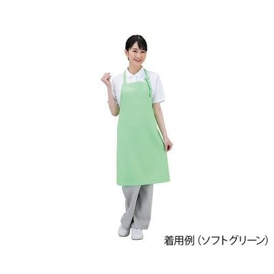 ワコウ 抗ウイルスエプロン Dr.EarthR 首掛け ソフトグリーン E3500-2 1枚 7-779-03（直送品）