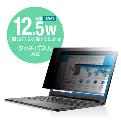 プライバシーフィルター 12.5W型 のぞき見防止 抗菌 ブルーライトカット EF-PFK125W エレコム 1個（直送品）