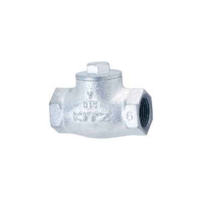 キッツ（KITZ） ダクタイル鉄製汎用リフトチャッキバルブ10K 2