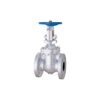 キッツ 鋳鉄製JIS規格ゲートバルブ10K 5 10FCL-125A 1個（直送品