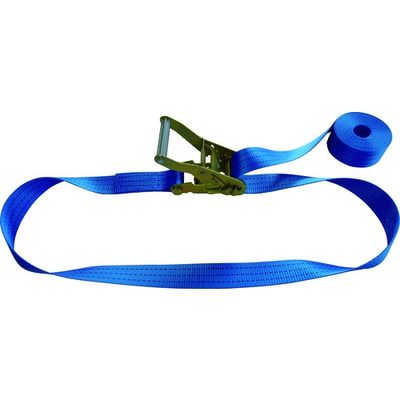 テザック TESAC ラッシングベルト(ベルト荷締機)ラチェットバックル式エンドレスタイプ R30N060-000A 1台(1個)（直送品）