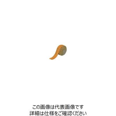 キャットアイ レフテープ 50mm×2.5m 蛍光アンバー RR-1-DGA 1巻 417-4925（直送品）