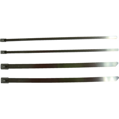 PANDUIT MLTタイプ 自動ロック式ステンレススチールバンド SUS304 幅4.6mm 長さ127mm 100本入り MLT1SーC（直送品）