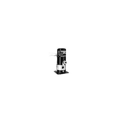 電磁弁 AC220V DC24V DC12V 2way 真鍮電磁弁真空-1bar-1bar 1