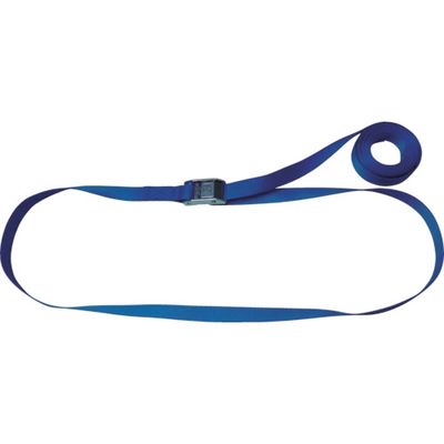 テザック TESAC ラッシングベルト(ベルト荷締機)カムバックル式エンドレスタイプ C05N040-000A 1台 433-3934（直送品）