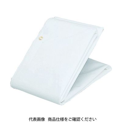 トラスコ中山 TRUSCO 防炎シートα軽量 幅5.4mX長さ5.4m GBS-5454A 1枚 437-7460（直送品）