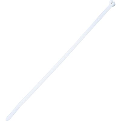 パンドウイット ステンレス爪ロック式ナイロン結束バンド ナチュラル 幅3.6mm 長さ287mm 100本入り BT3IーC（直送品）