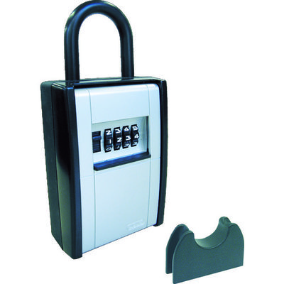 日本ロックサービス ABUS カードとカギの預かり箱 DS-KB-2 1個 445-1741（直送品）