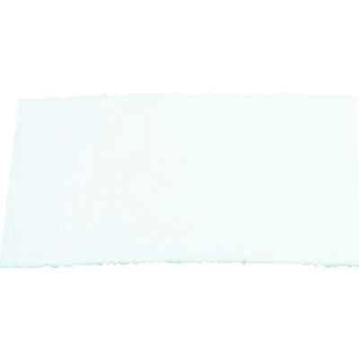 スリーエム ジャパン 3M アドフロー[[TM上]] プレフィルター 836010 5枚/1箱 1箱(5枚) 471-6817（直送品）