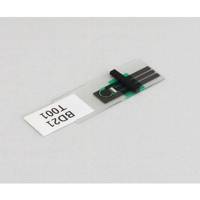 フジデノロ Comilu for histamine ヒスタミンセンサー用酵素センサチップ EC-01H_01 1パック 4-3481-12（直送品）