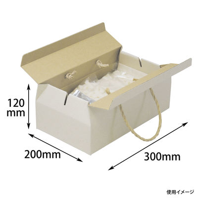 ヤマニパッケージ ナチュラル手提BOX-L 60枚 16-192 1ケース(60枚入)（直送品）