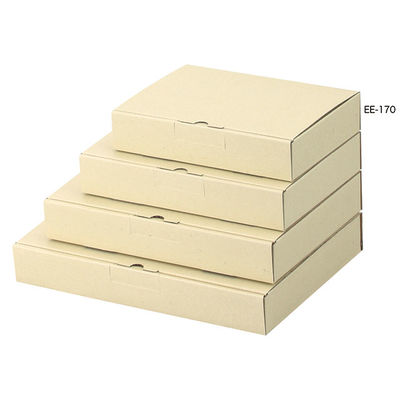 ヤマニパッケージ EE-170 宅送用ギフト箱 4cm 100枚(25×4) 1ケース(100枚入(25枚×4袋))（直送品）