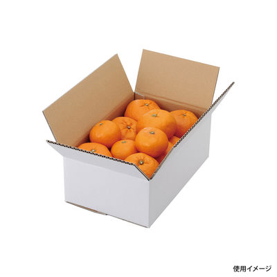 ヤマニパッケージ L-2231 A式みかん白無地3kg 80枚 1ケース(80枚入)（直送品）