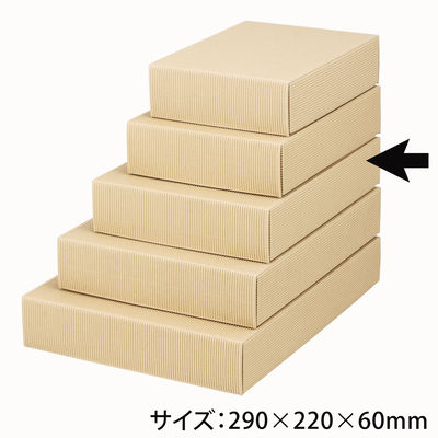 ヤマニパッケージ ナチュラル60中 100枚 16-62 1ケース(100枚入)（直送品）