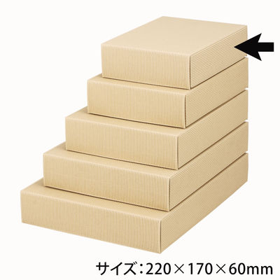 ヤマニパッケージ ナチュラル60極小 100枚 16-60 1ケース(100枚入)（直送品）