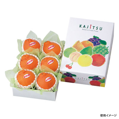 ヤマニパッケージ L-447 果実パレット ミニ 50枚(10×5) 320913 1ケース(50枚入(10枚×5袋))（直送品）