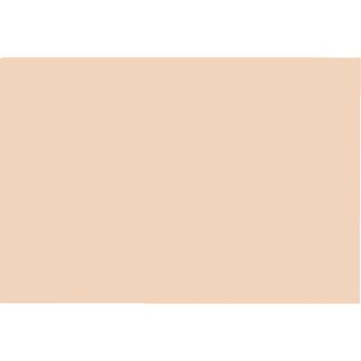 大王製紙 再生色画用紙 4ツ切10枚 うすだいだい 1セット(5冊)（直送品）