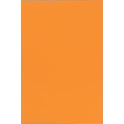 ジョインテックス マグネットシートワイドツヤ無橙B209J-O-10　1パック（直送品）