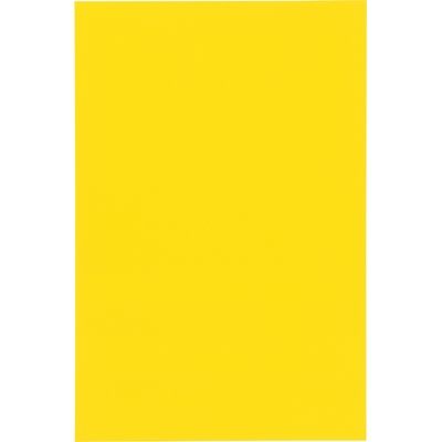 ジョインテックス マグネットシートワイドツヤ無黄B209J-Y-10　1パック（直送品）