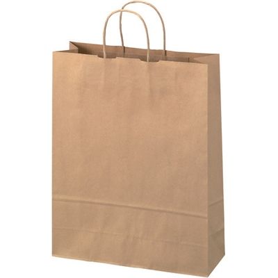 ジョインテックス 手提袋 丸紐 茶 大 50枚 B289J-B 1セット(5パック)（直送品）