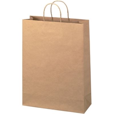 ジョインテックス 手提袋 丸紐 茶 特大 50枚 B290J-B 1セット(5パック)（直送品）