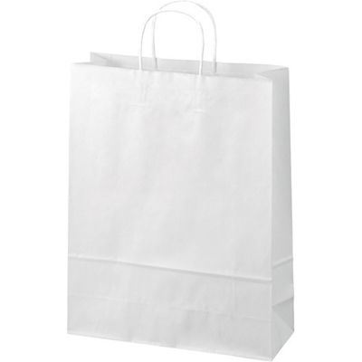 ジョインテックス 手提袋 丸紐 白 大 50枚 B289J-W 1セット(5パック)（直送品）