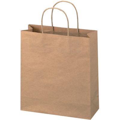 ジョインテックス 手提袋 丸紐 茶 小 50枚 B287J-B 1セット(5パック)（直送品）