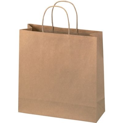 ジョインテックス 手提袋 丸紐 茶 中 50枚 B288J-B 1セット(5パック)（直送品）