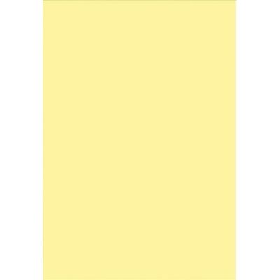 ジョインテックス 色画用紙 4ツ切10枚 クリーム P144J-16 1セット(20パック)（直送品）