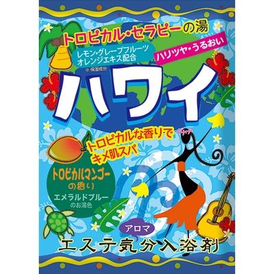 ヘルス エステ気分アロマハワイ 4976552008633 1セット(40G×48点セット)（直送品）